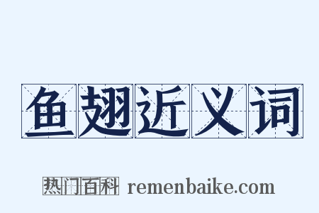 鱼翅近义词是什么意思的图片